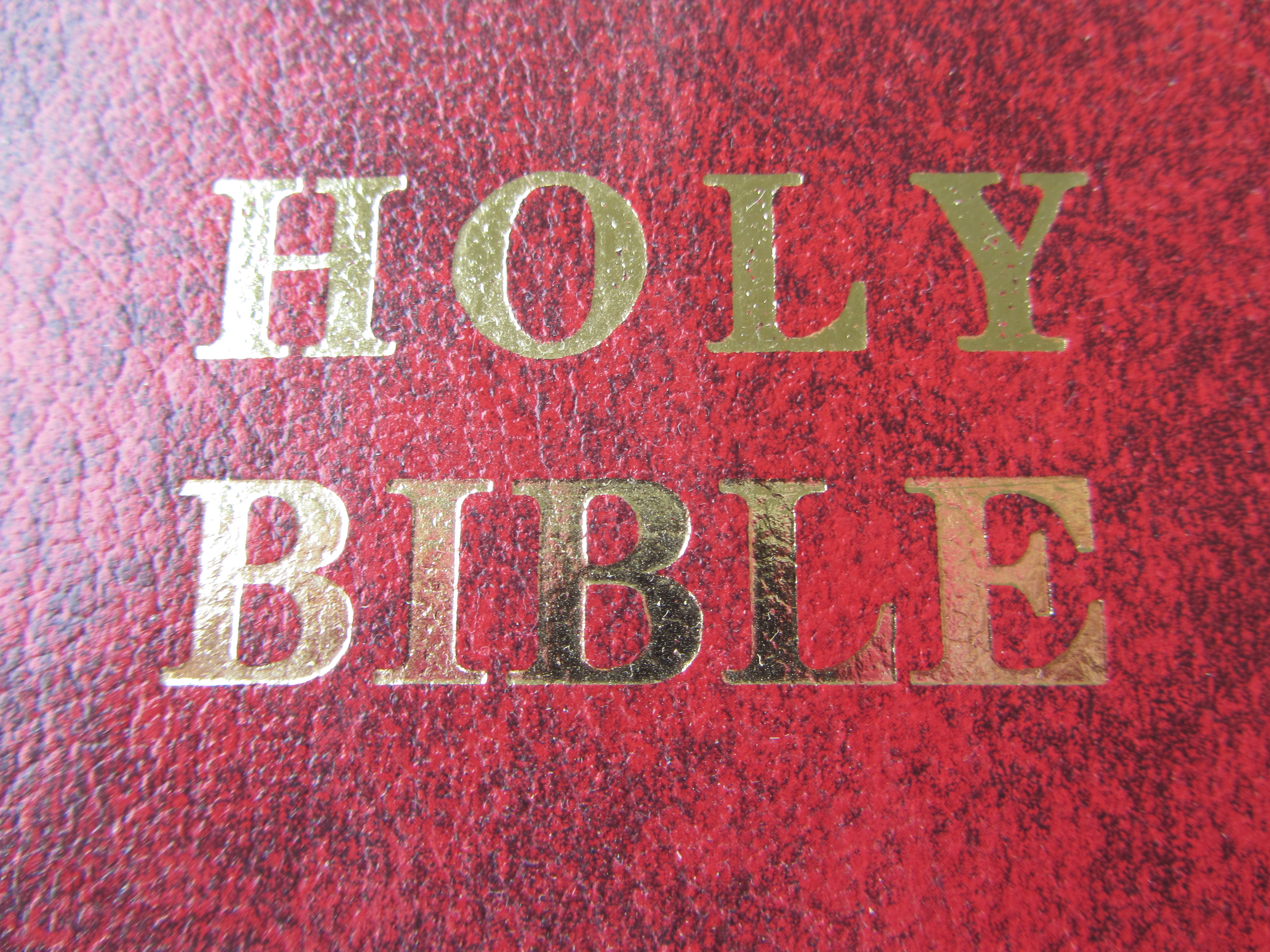 Kein Buch ist so oft verbreitet worden wie dieses, also die Bibel.