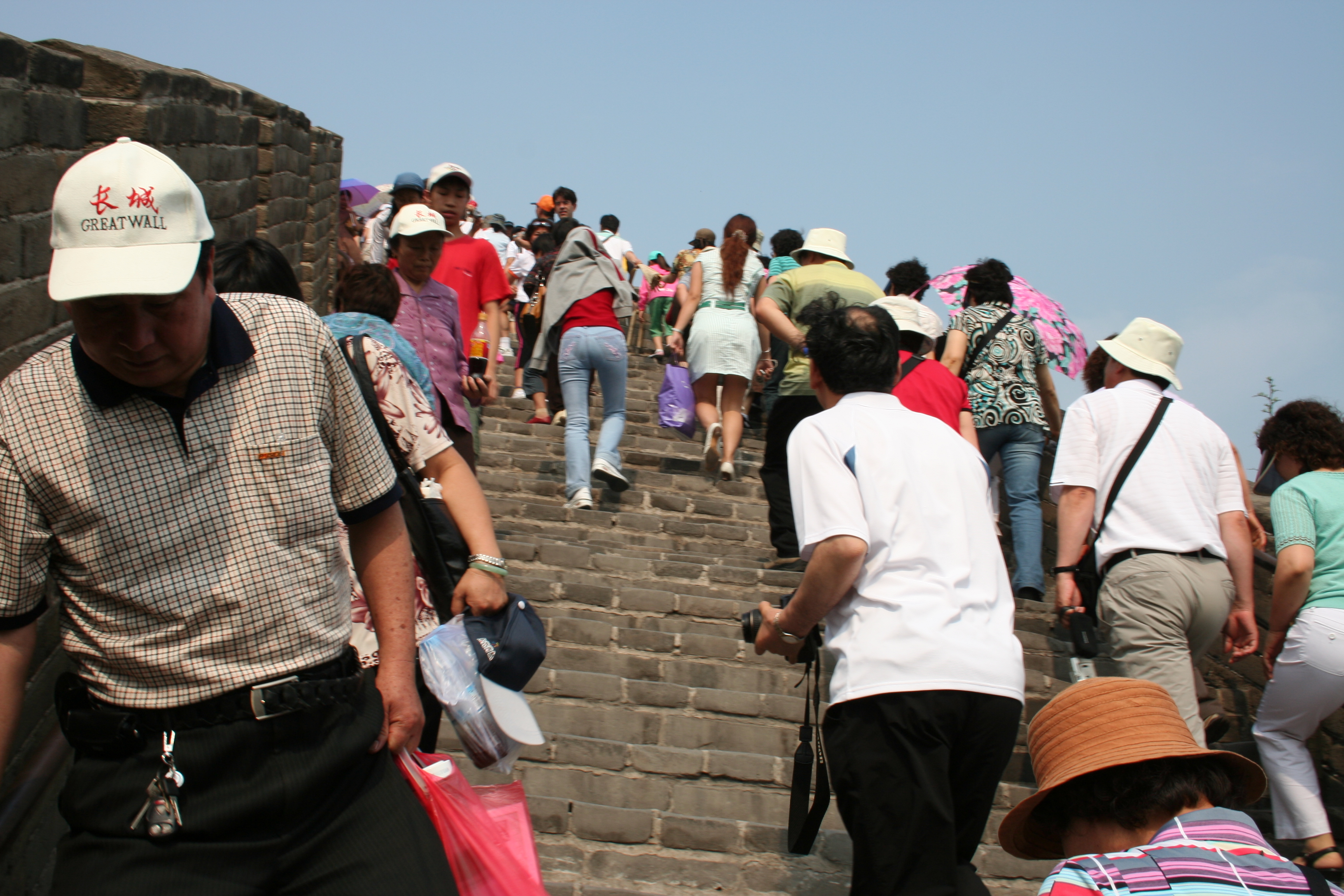 Eine Studie der Weltgesundheitsorganisation nennt jetzt die häufigsten Ursachen für das Sterben.
