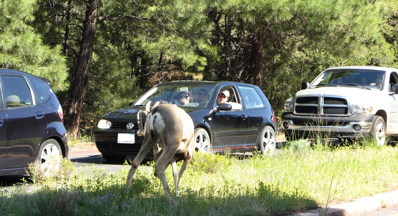 Junge Menschen konsumieren verantwortungsbewusst, so die SCHUFA.