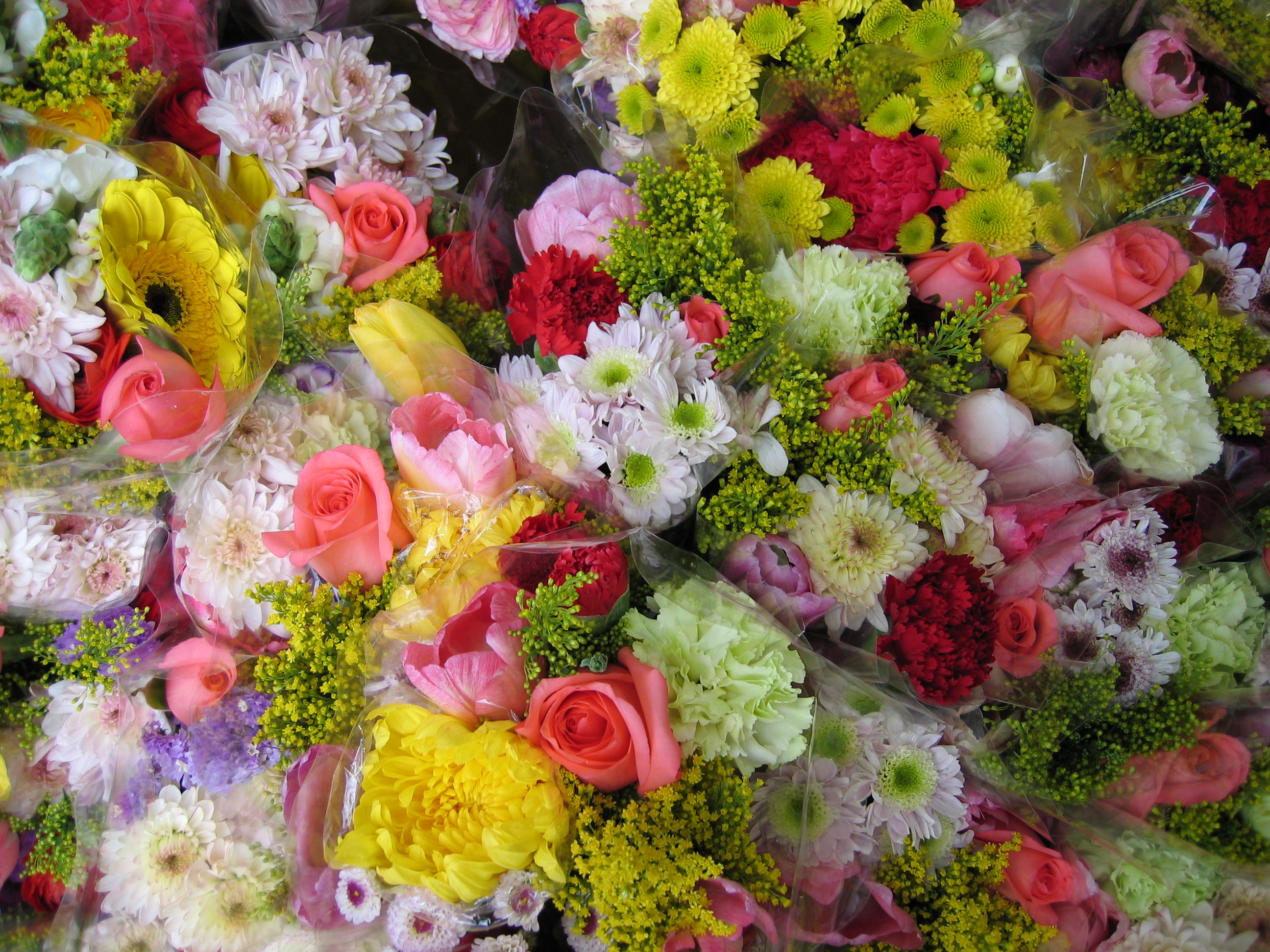 Wer künftig in Holland Blumen online bestellt, soll die gleichen Rechte und Pflichten haben, wie in Deutschland oder Griechenland.