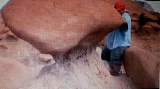 Die USA diskutieren derzeit das Verhalten von Pfadfindern in Nationalparks.