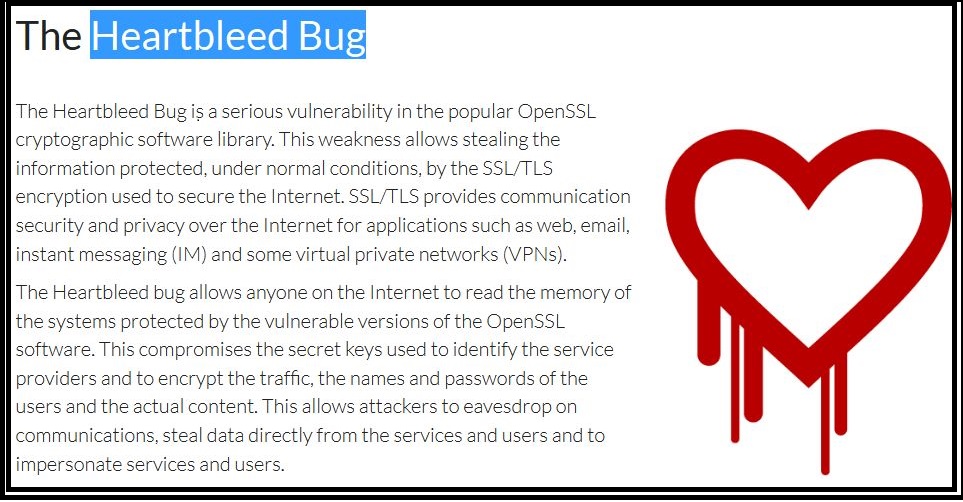 Globales Thema: Der Bug.
