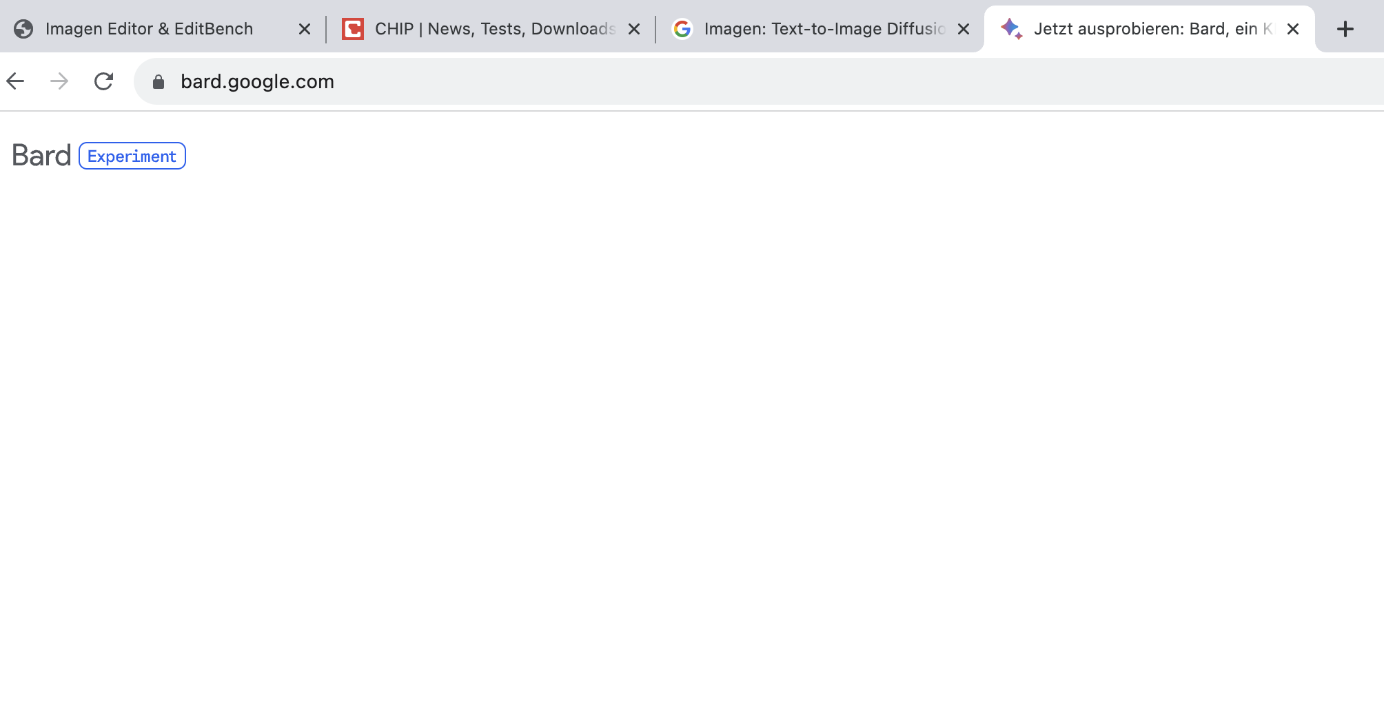 Aha. Alles weiß. Und sonst? Jedenfalls führte ein Testlauf in der Schweiz bezüglich Googles Bard zu dieser weißen Seite. Mehr aber auch nicht.