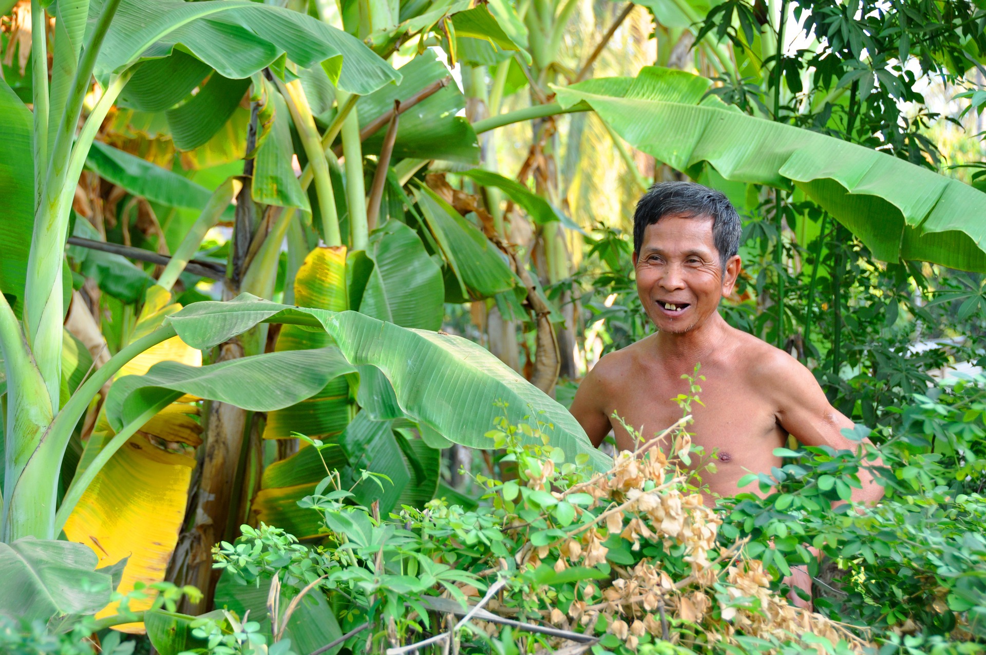 Stirbt die Exportbanane aus? Hier ein Plantagen-Arbeiter.