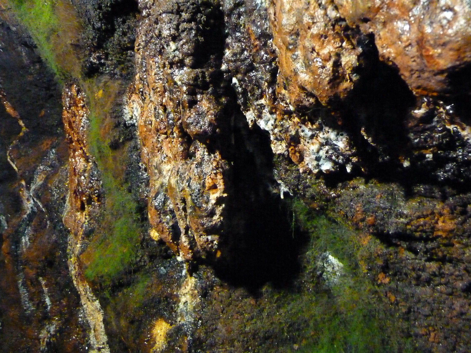 Weltweit gibt es 5090 Mineralien und Erden.