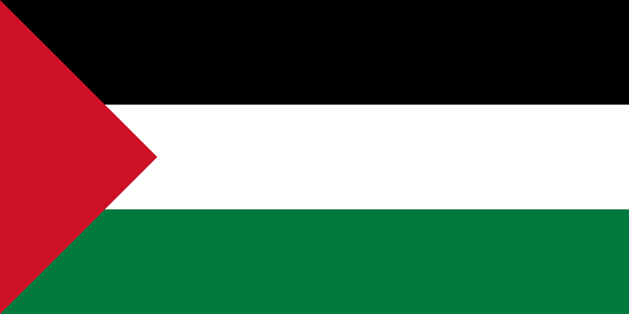 Israel wirft Facebook vor, Blut an den Händen zu haben. Grund: Das soziale Netzwerk lasse den Palästinensern - hier die palästinensische Flagge - zu viel Freiheiten in der Meinungsäußerung und Kommentierung von Vorgängen.