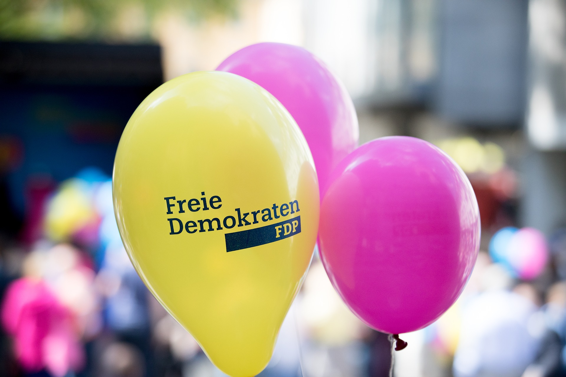 Auch wenn die FDP auf Grund ihrer Polit-Spitze aus immer mehr Landtagen rausgeflogen ist: Die Partei hat prozentual mehr Gutverdiener als andere. (Bild: pixabay.com)