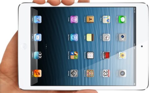 Das iPad Mini: Obwohl Amerikaner mehr im Schnitt verdienen als Deutsche, ist es hierzulande teurer.