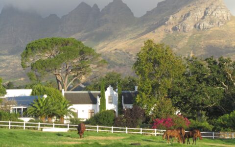 Südafrika ist für viele Europäer im Winter ein Traum.