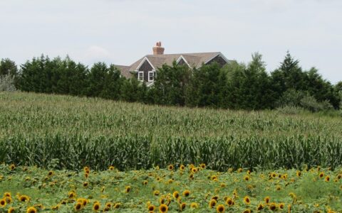 Trotz Höhenflüge an den US-Börsen: Kein Grund zur Sonnenblumenlaune. Anleger sollten vorsichtig sein - besonders Privatanleger.