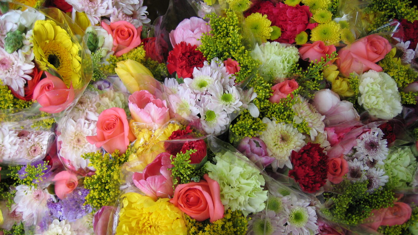 Wer künftig in Holland Blumen online bestellt, soll die gleichen Rechte und Pflichten haben, wie in Deutschland oder Griechenland.