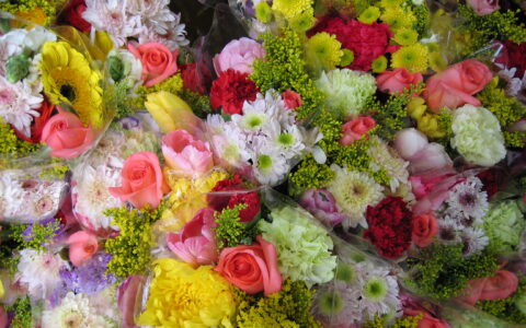 Wer künftig in Holland Blumen online bestellt, soll die gleichen Rechte und Pflichten haben, wie in Deutschland oder Griechenland.