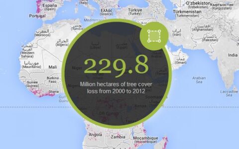 Global Forest Watch (GFW): Neuer Online-Waldsterben-Alarm