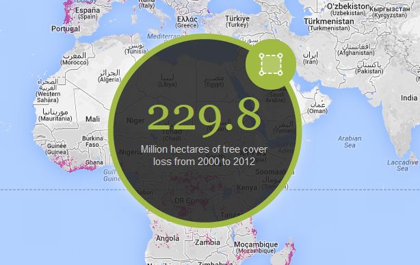 Global Forest Watch (GFW): Neuer Online-Waldsterben-Alarm