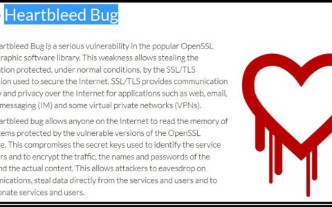 Globales Thema: Der Bug.