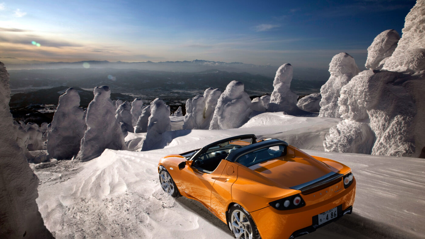 Der Tesla Roadster.
