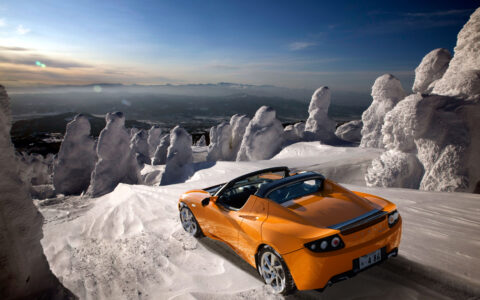 Der Tesla Roadster.
