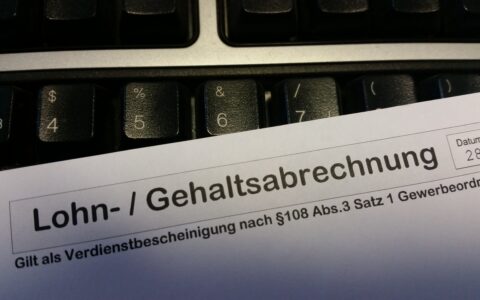 Online-Lohnabrechnung: Darauf ist zu achten