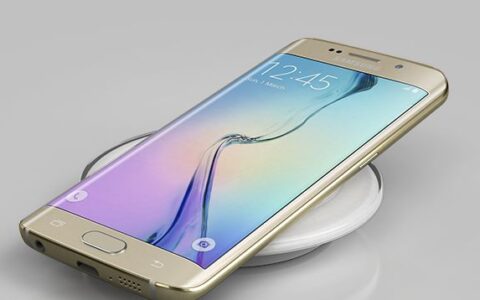 Das Galaxy S6.