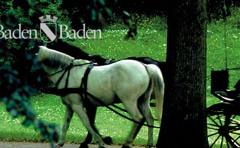 Screenshot: baden-baden.de