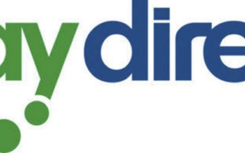 Denglisch in Perfektion: das Logo von Pay Direkt