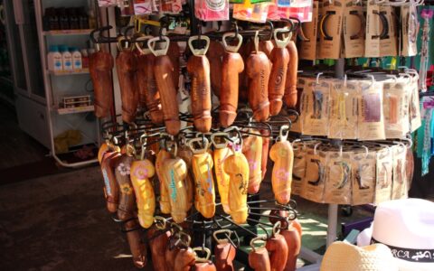 Auf Mallorca sind theoretische Studien zum männlichen Penis, wie man hier sieht, eher unnötig.