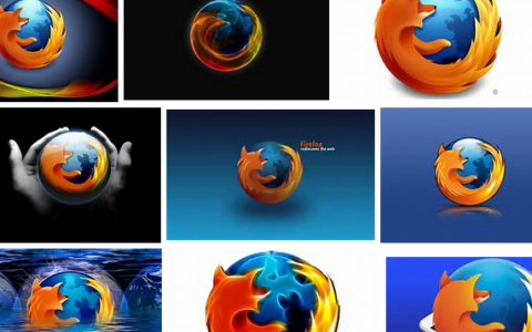Mozilla Firefox ist im Netz längst zu einem auch künstlerischen Objekt geworden. Doch der von einigen verliehene Heiligenschein ist brüchig.