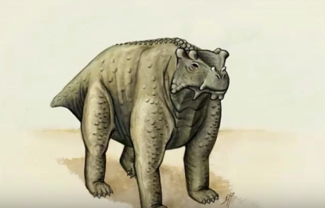 So sah das Urviech vor 260 Millionen Jahren wohl aus: Bunostegos.
