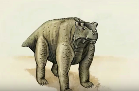 So sah das Urviech vor 260 Millionen Jahren wohl aus: Bunostegos.