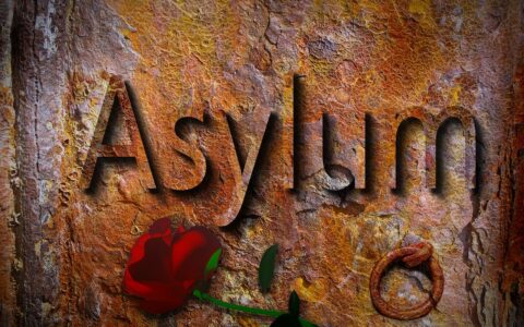 Auch Asylanten und sonstige Flüchtlinge sollen kostenloses Internet erhalten.