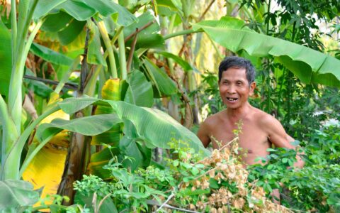 Stirbt die Exportbanane aus? Hier ein Plantagen-Arbeiter.