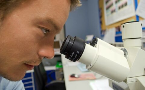 Biotechnologie-Unternehmen sind an den Börsen nach wie vor sehr erfolgreich.