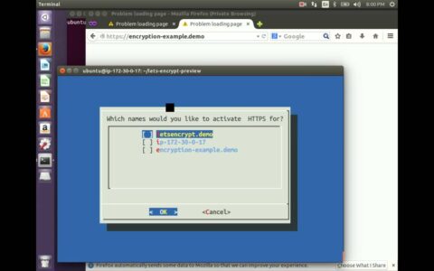 Let's Encrypt Demo
