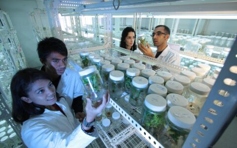 Gilead Science: Mehr Gewinn als Google.