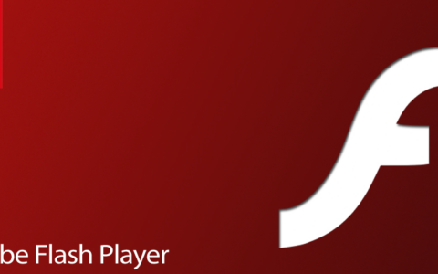 Der Adobe Flash Player.