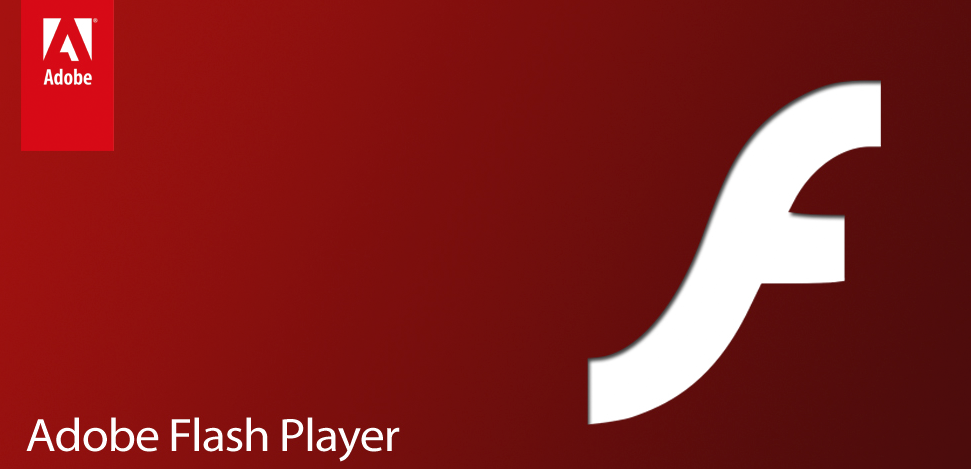 Der Adobe Flash Player.