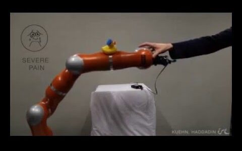 Artificial Robot Nervous System to Teach Robots How to Feel Pain