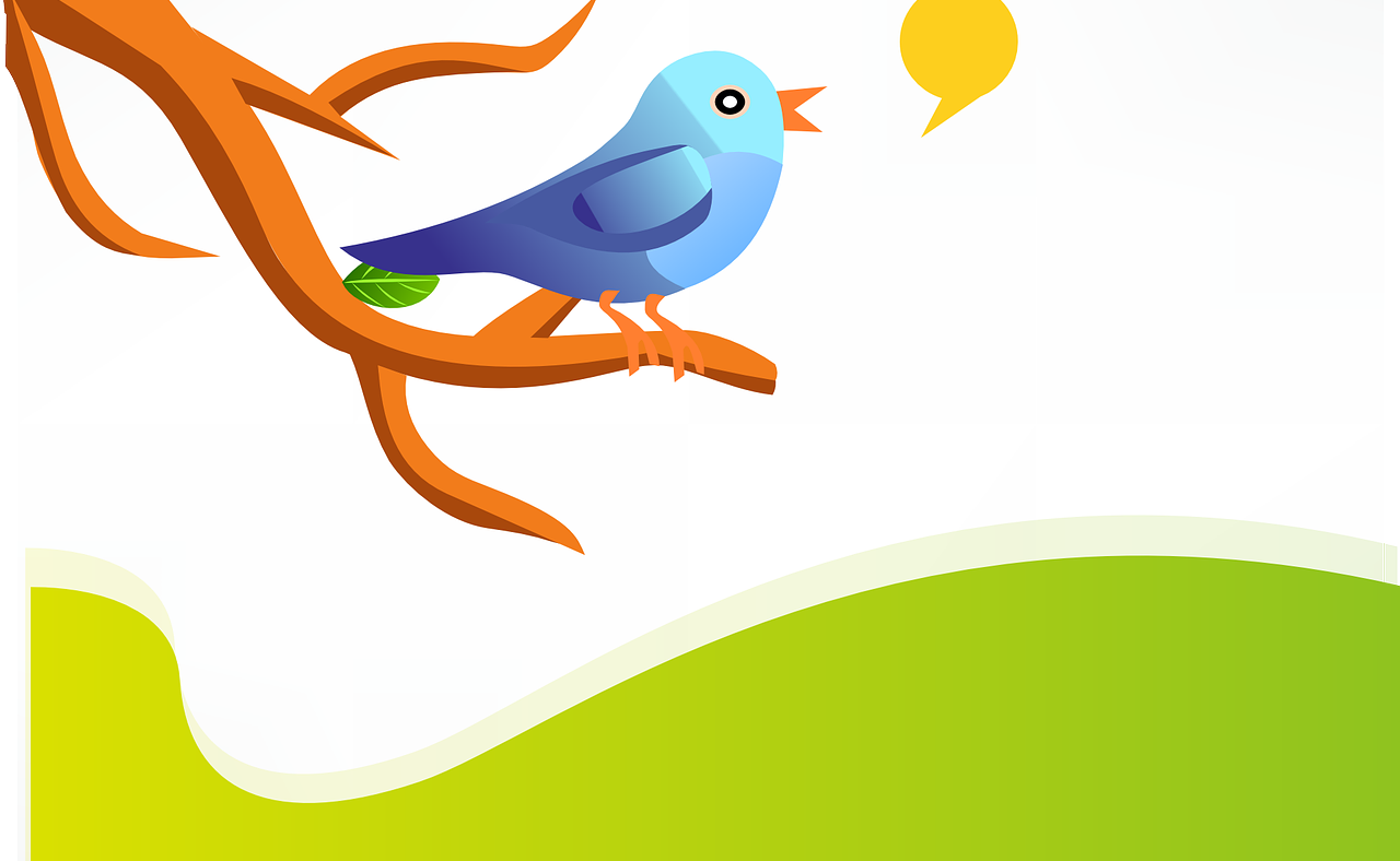 30 Milliarden Dollar wert? Twitter soll zum Verkauf stehen.