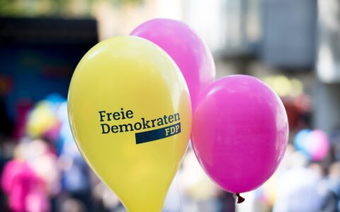 Auch wenn die FDP auf Grund ihrer Polit-Spitze aus immer mehr Landtagen rausgeflogen ist: Die Partei hat prozentual mehr Gutverdiener als andere. (Bild: pixabay.com)