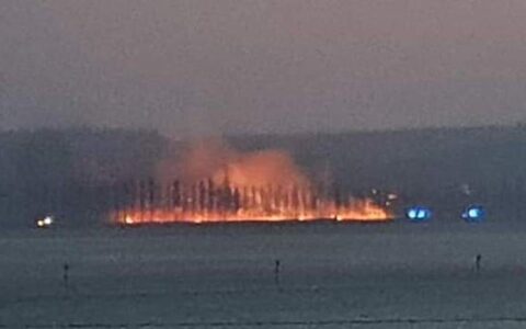 Der Steg, über den Autos auf die Insel Reichenau fahren, brannte in der Nacht zum Samstag. Bild: privat