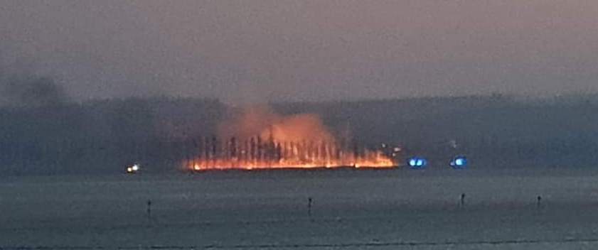 Der Steg, über den Autos auf die Insel Reichenau fahren, brannte in der Nacht zum Samstag. Bild: privat