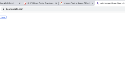 Aha. Alles weiß. Und sonst? Jedenfalls führte ein Testlauf in der Schweiz bezüglich Googles Bard zu dieser weißen Seite. Mehr aber auch nicht.