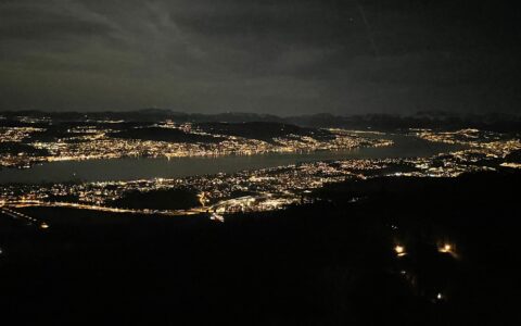 Zürich und Zürichsee bei Nacht aufgenommen vom Hausberg, dem Uetliberg. (Foto: NETZ-TRENDS)