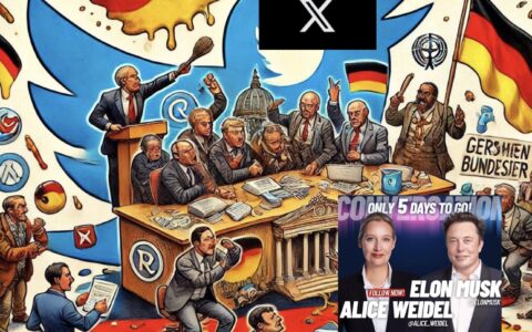 Im Feuer bei der Bundesregierung aus SPD und Grünen: Der Livechat des reichsten Menschen der Welt, von Elon Musk mit AfD-Chefin Alice Weidel auf X, dem Nachfolger von Twitter. Das Bild ist KI-generiert über bing.com Bildgenerator. Zudem wurde es durch Screenshots ergänzt zu einer Collage.