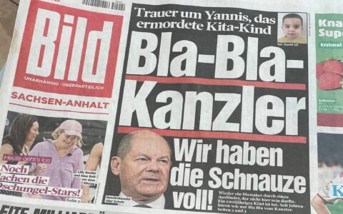Auch die BILD-Zeitung hat die Schnauze voll: Die 3,2 Millionen Flüchtlinge, ein Großteil davon keine Asylanten, kosten Deutschland in 10 Jahren gut 500 Milliarden Euro. SPD und GRÜNE wollen einen Großteil davon einbürgern.