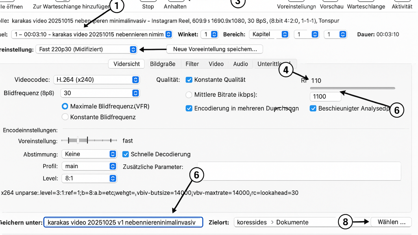 Grafik: Screenshot. Beschriftet durch Chat GPT Pro Version.