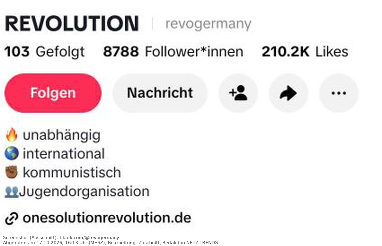 Ausschnitt des TikTok-Profils REVOLUTION (@revogermany) mit Kurzbeschreibung und Link