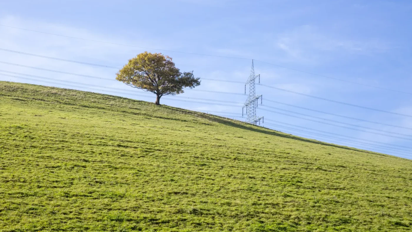 Hochspannungsmast und Freileitung eines deutschen Übertragungsnetzbetreibers vor grüner Wiese, Symbolbild zum Netzentgelt-Zuschuss 2027