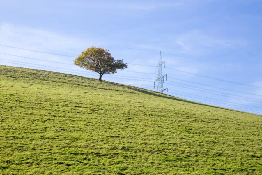 Hochspannungsmast und Freileitung eines deutschen Übertragungsnetzbetreibers vor grüner Wiese, Symbolbild zum Netzentgelt-Zuschuss 2027