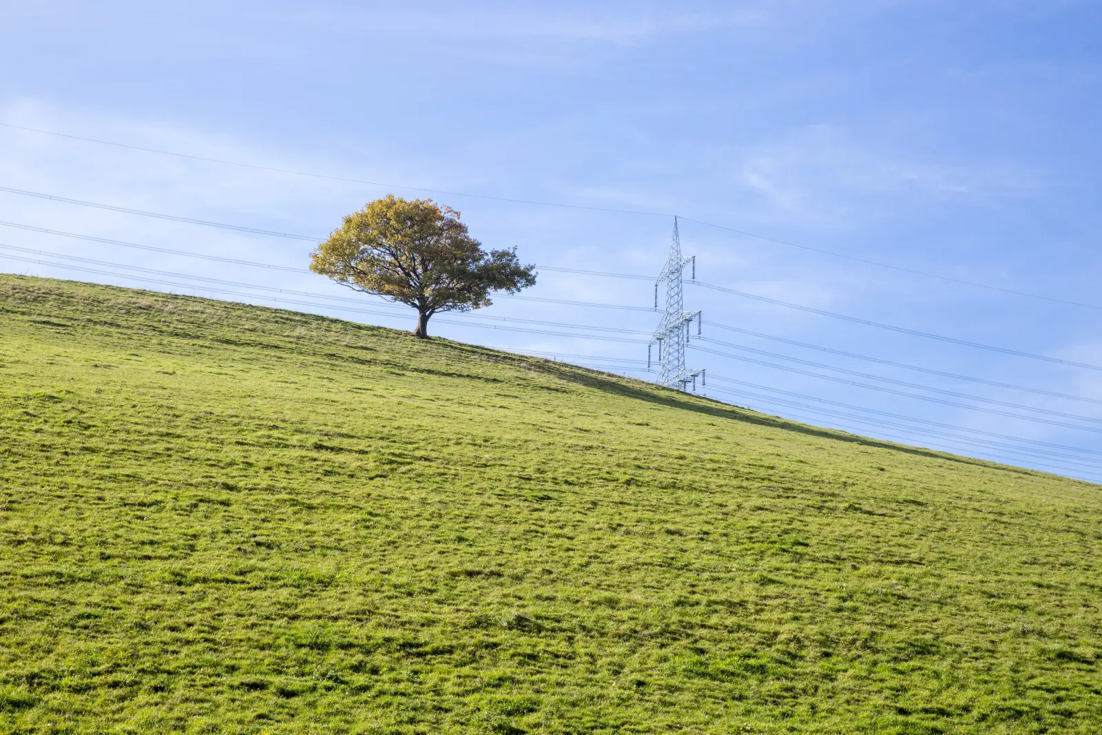 Hochspannungsmast und Freileitung eines deutschen Übertragungsnetzbetreibers vor grüner Wiese, Symbolbild zum Netzentgelt-Zuschuss 2027